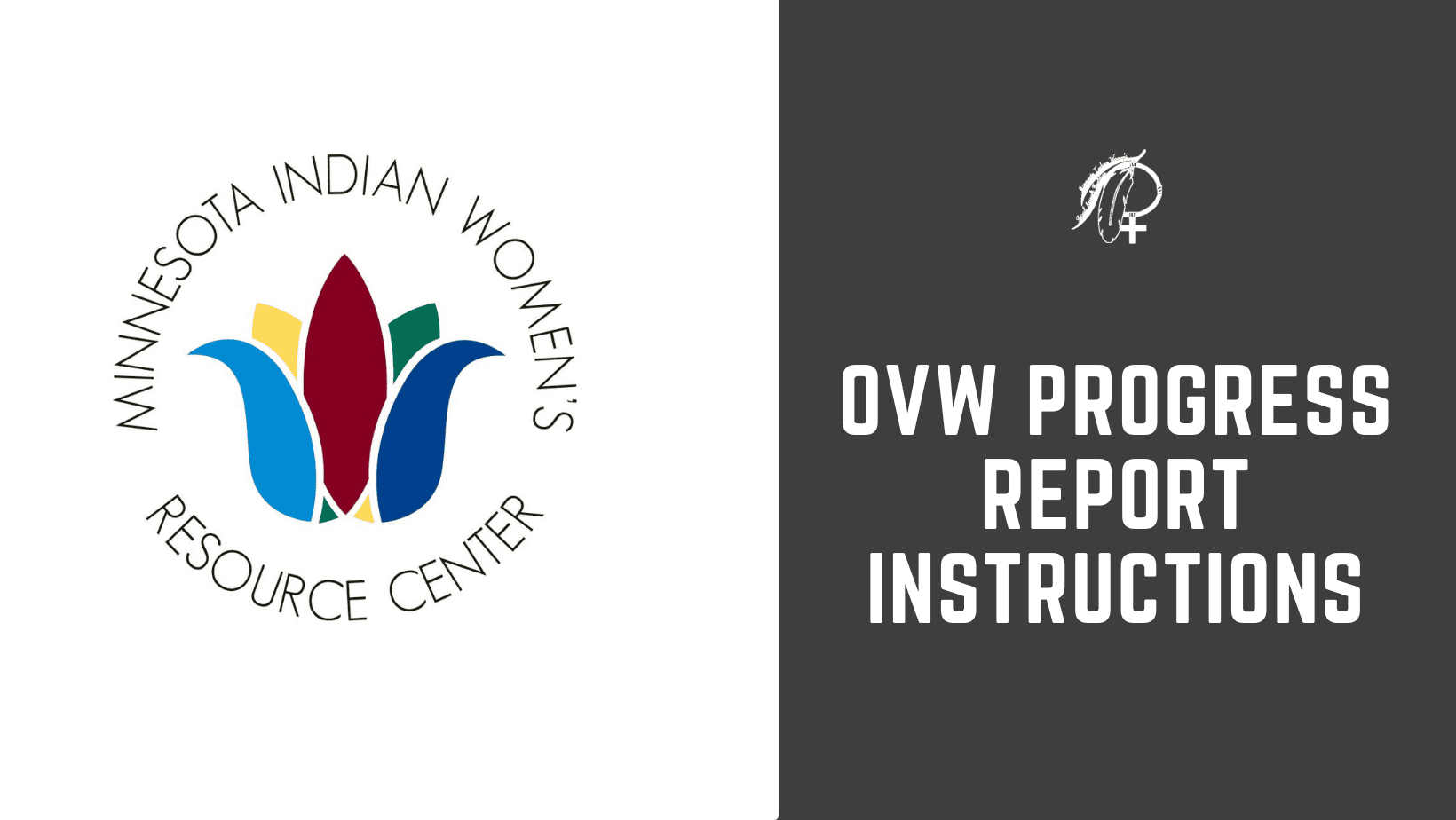 OVW Progress Report Instructions