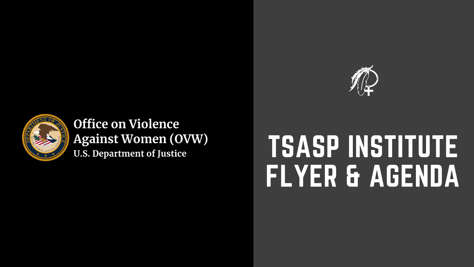 TSASP Institute Flyer and Agenda