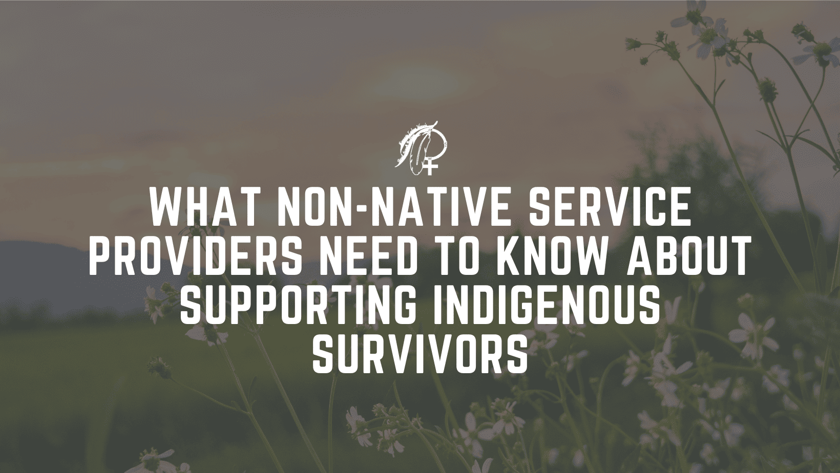SAAM Webinar What Non-Native Service Providers Need to Know About Supporting Indigenous Survivors