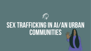 cover_Sex Trafficking 101 (1)
